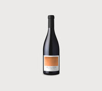 Pago de Valdoneje Telleria Mencia 2023